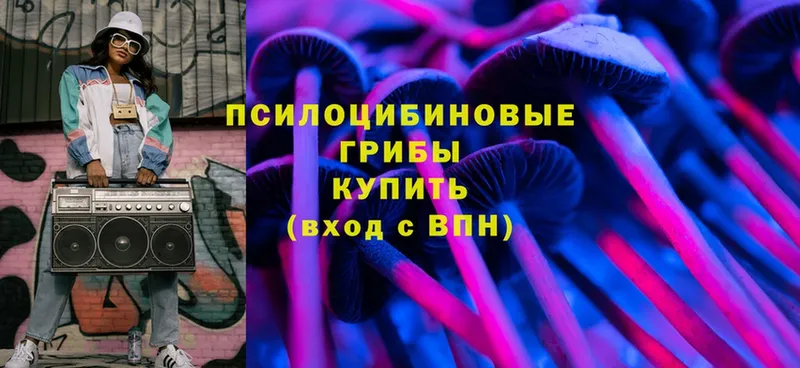 Галлюциногенные грибы MAGIC MUSHROOMS  дарк нет формула  Кунгур  купить наркотики сайты 